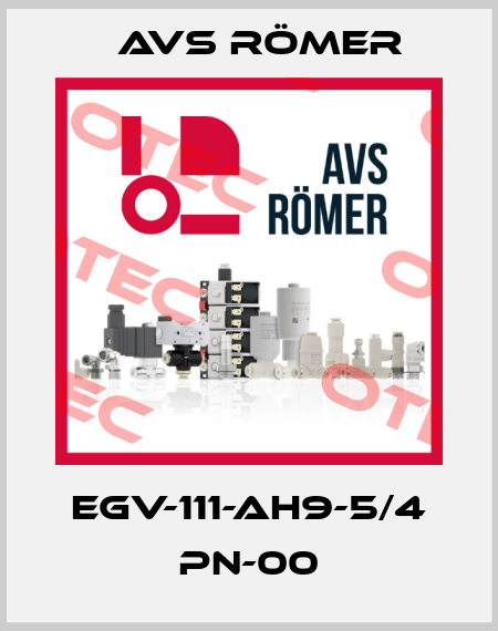 EGV-111-AH9-5/4 PN-00 Avs Römer