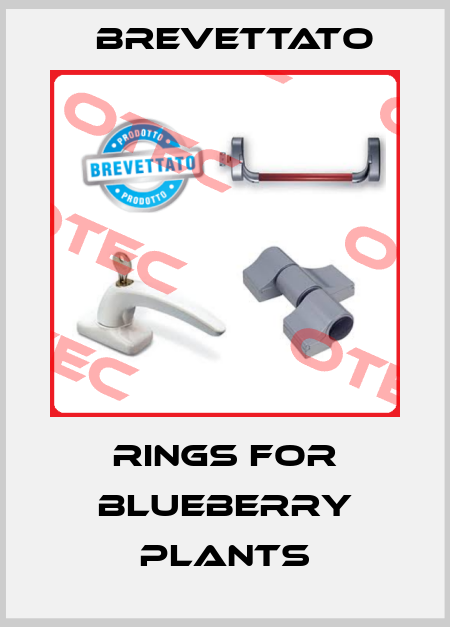 Rings for blueberry plants Brevettato