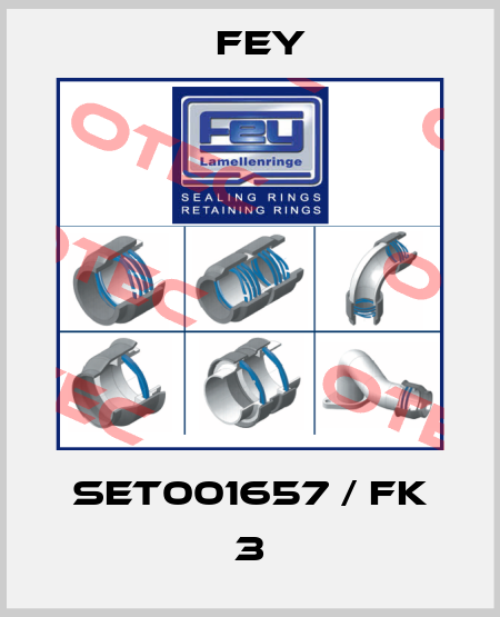 SET001657 / FK 3 Fey