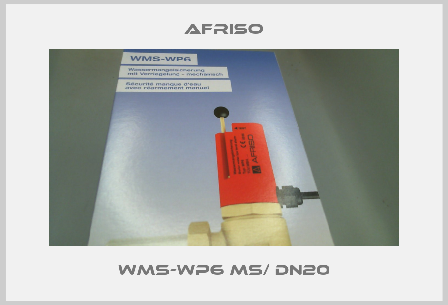 WMS-WP6 MS/ DN20-big