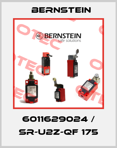 6011629024 / SR-U2Z-QF 175 Bernstein