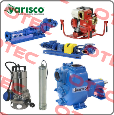 10021264 Varisco pumps