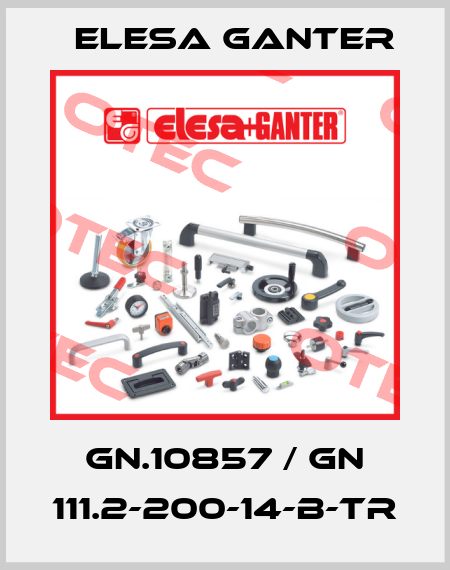 GN.10857 / GN 111.2-200-14-B-TR Elesa Ganter