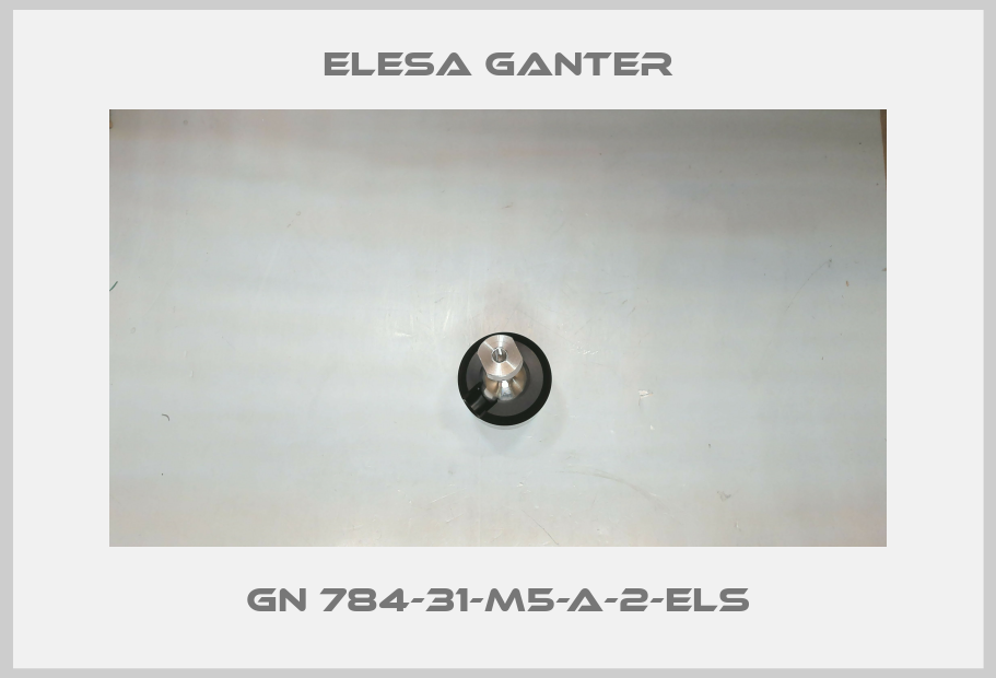 GN 784-31-M5-A-2-ELS-big