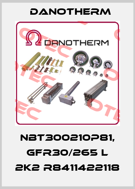 NBT300210P81, GFR30/265 L 2K2 R8411422118 Danotherm