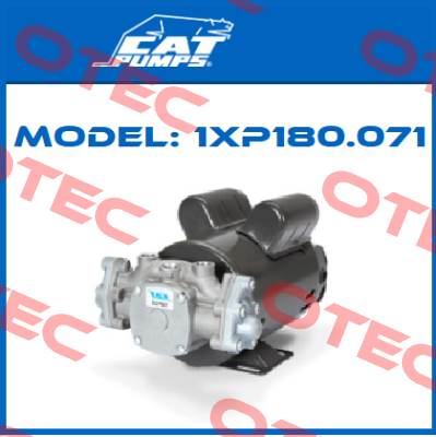 Model: 1XP180.071 Cat Pumps