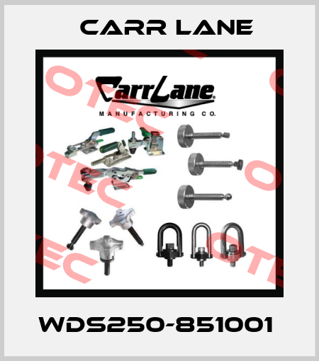 WDS250-851001  Carr Lane