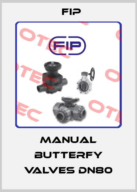 Manual butterfy valves DN80 Fip