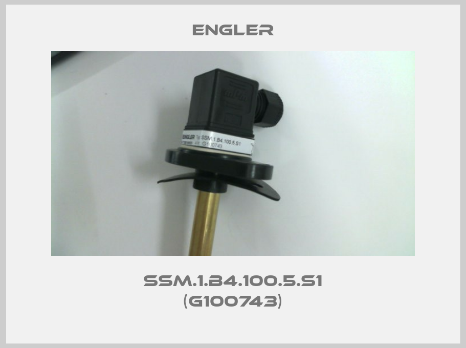 SSM.1.B4.100.5.S1 (G100743)-big