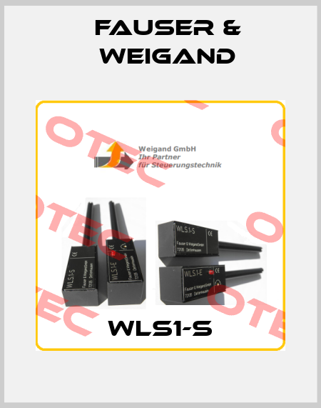 WLS1-S-big