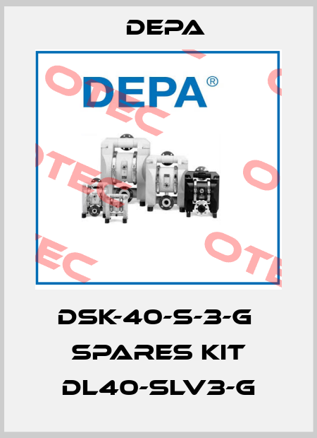 DSK-40-S-3-G  Spares Kit DL40-SLV3-G Depa