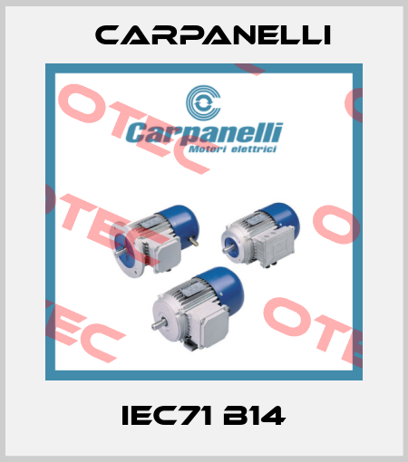 IEC71 B14 Carpanelli