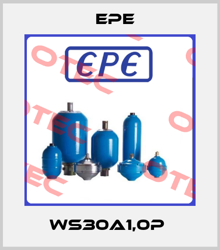 WS30A1,0P  Epe