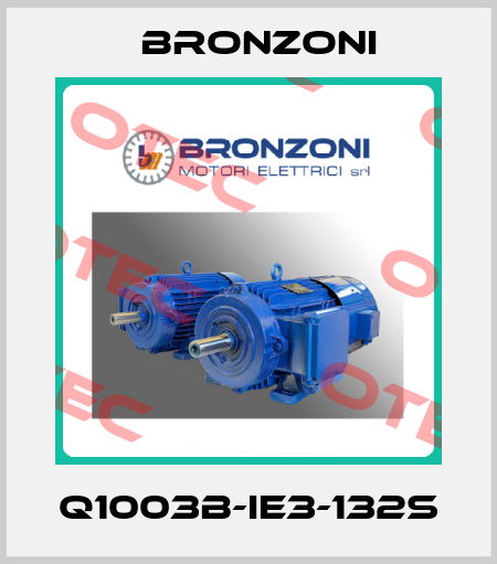 Q1003B-IE3-132S Bronzoni