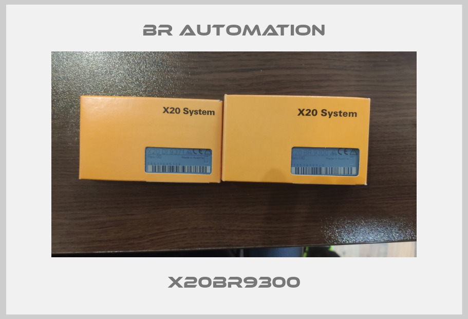 X20BR9300-big
