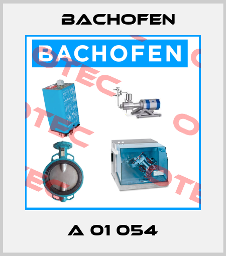 A 01 054 Bachofen