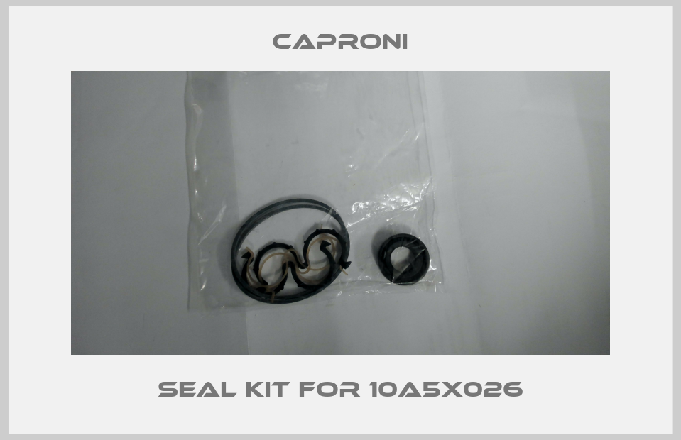 seal kit for 10A5X026-big