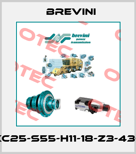 XC25-S55-H11-18-Z3-436 Brevini