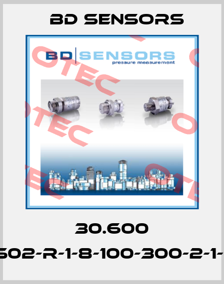 30.600 G-2502-R-1-8-100-300-2-1-000 Bd Sensors