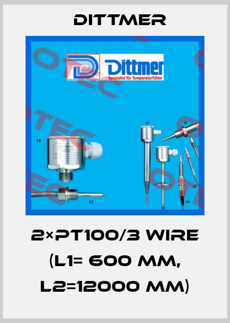 2×PT100/3 WIRE (L1= 600 mm, L2=12000 mm) Dittmer