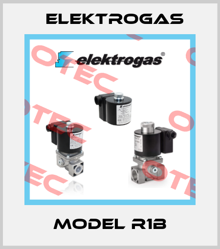 Model R1B Elektrogas