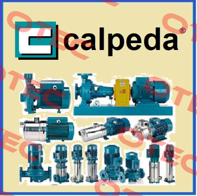 TM 65E-R  / 2021431482 Calpeda