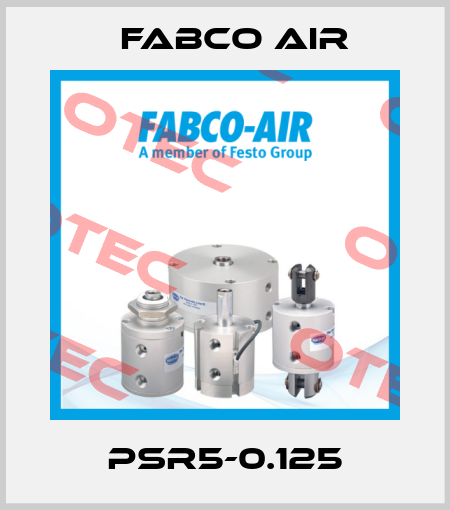 PSR5-0.125 Fabco Air