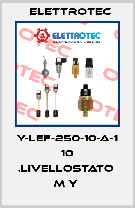Y-LEF-250-10-A-1 10 .LIVELLOSTATO  M Y  Elettrotec