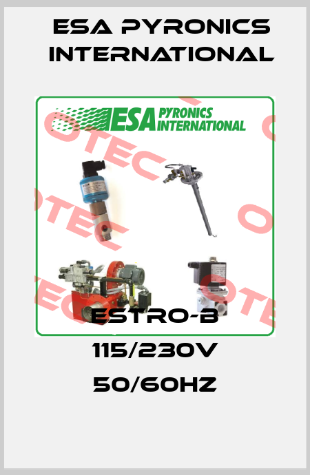 ESTRO-B 115/230V 50/60Hz ESA Pyronics International