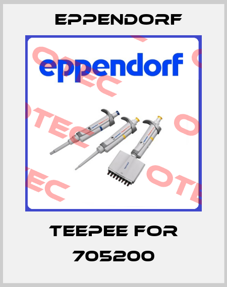 teepee for 705200 Eppendorf