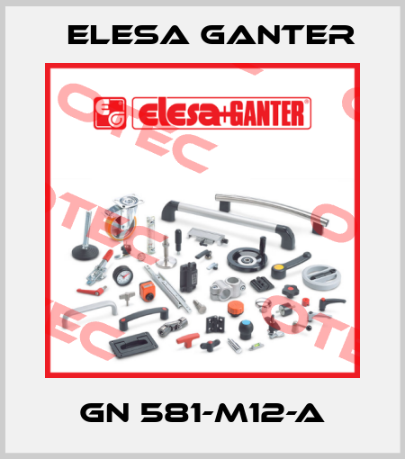 GN 581-M12-A Elesa Ganter
