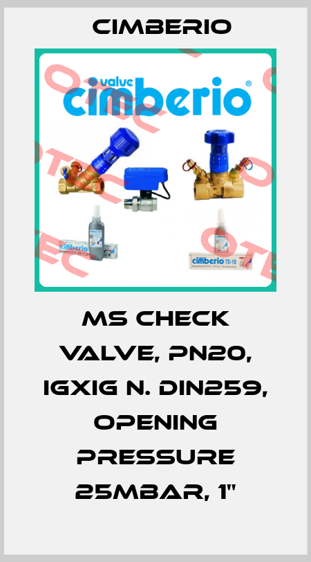 MS check valve, PN20, IGXiG n. DIN259, opening pressure 25mbar, 1" Cimberio