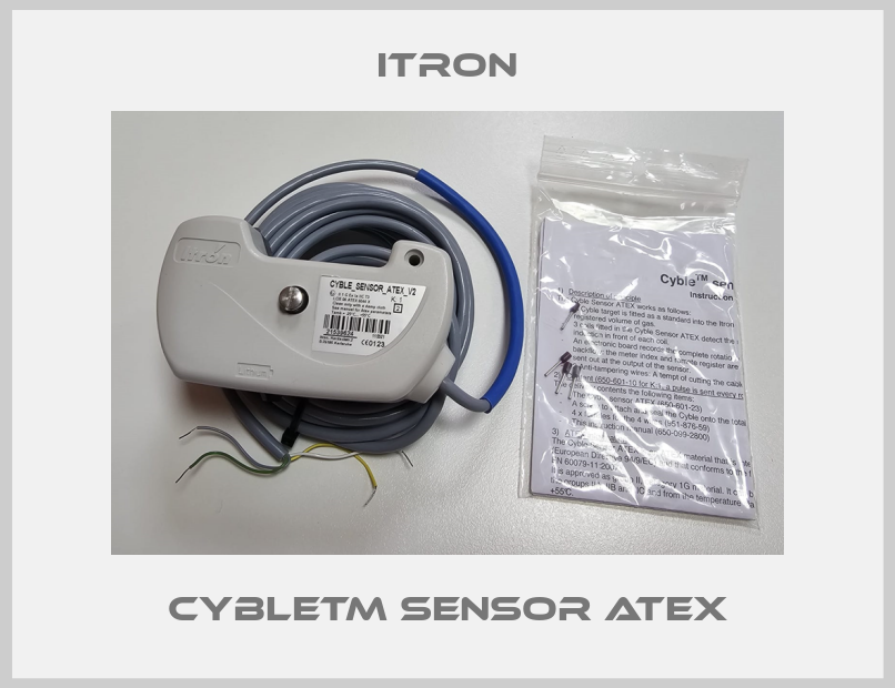 CybleTM Sensor ATEX-big