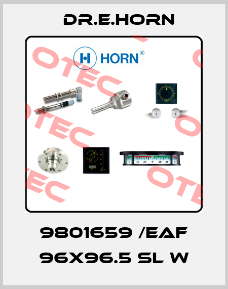 9801659 /EAF 96X96.5 sl W Dr.E.Horn