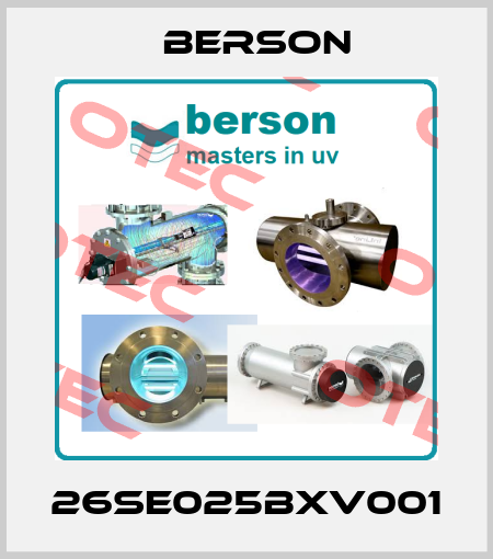 26SE025BXV001 Berson