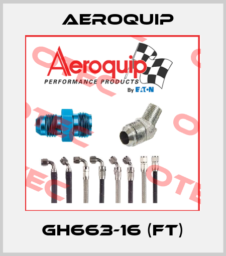 GH663-16 (FT) Aeroquip