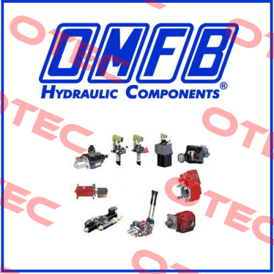 10105070038 OMFB Hydraulic