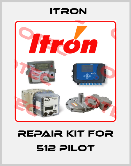 Repair kit for 512 pilot Itron