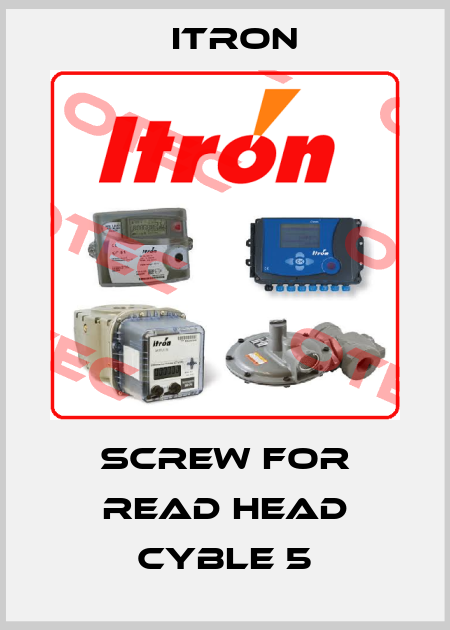 screw for read head CYBLE 5 Itron