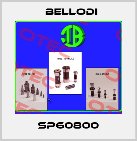 SP60800 Bellodi