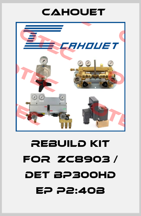 rebuild kit for  ZC8903 / DET BP300HD EP P2:40B Cahouet