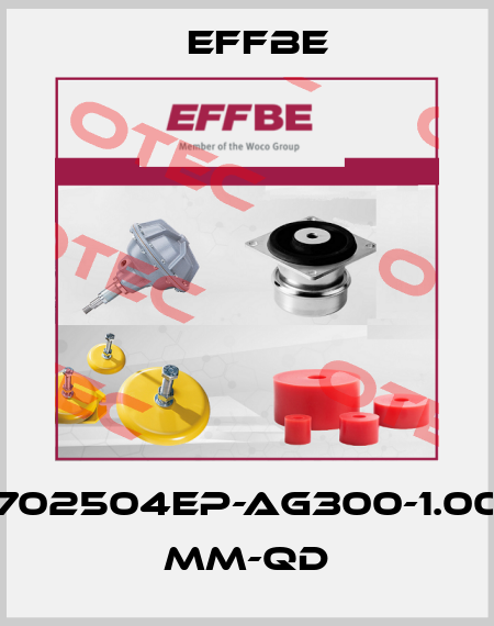 702504EP-Ag300-1.00 mm-QD Effbe