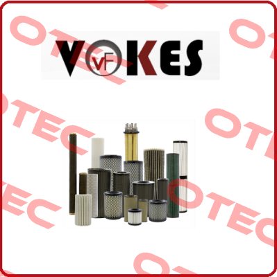 EE2S300V Vokes