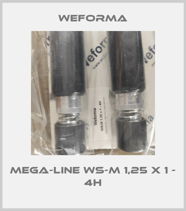 Mega-Line WS-M 1,25 x 1 - 4H-big