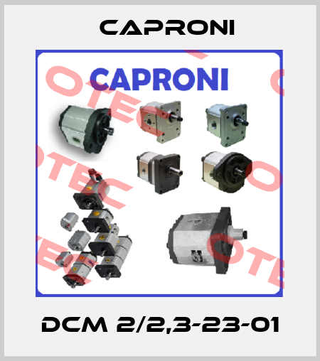 DCM 2/2,3-23-01 Caproni