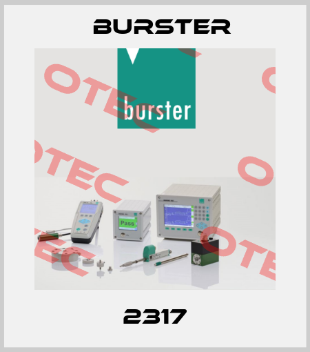 2317 Burster