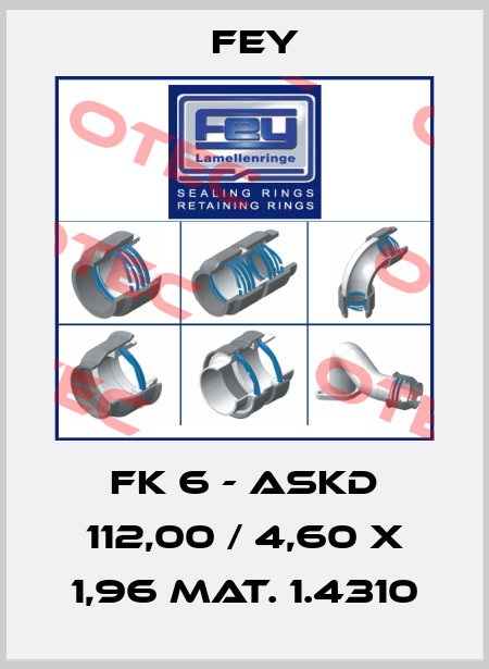 FK 6 - ASKD 112,00 / 4,60 x 1,96 Mat. 1.4310 Fey