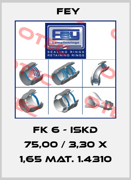 FK 6 - ISKD 75,00 / 3,30 x 1,65 Mat. 1.4310 Fey