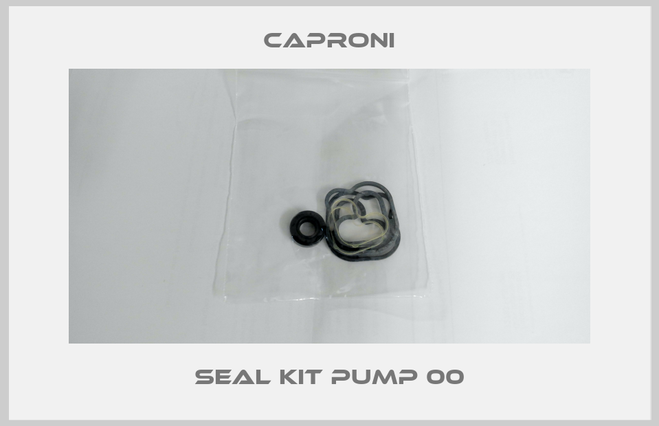 Seal kit pump 00-big
