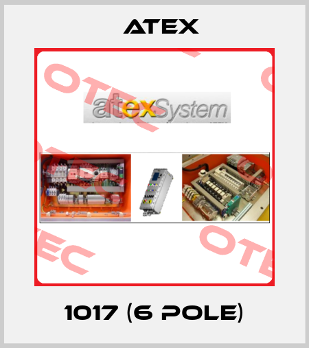 1017 (6 pole) Atex